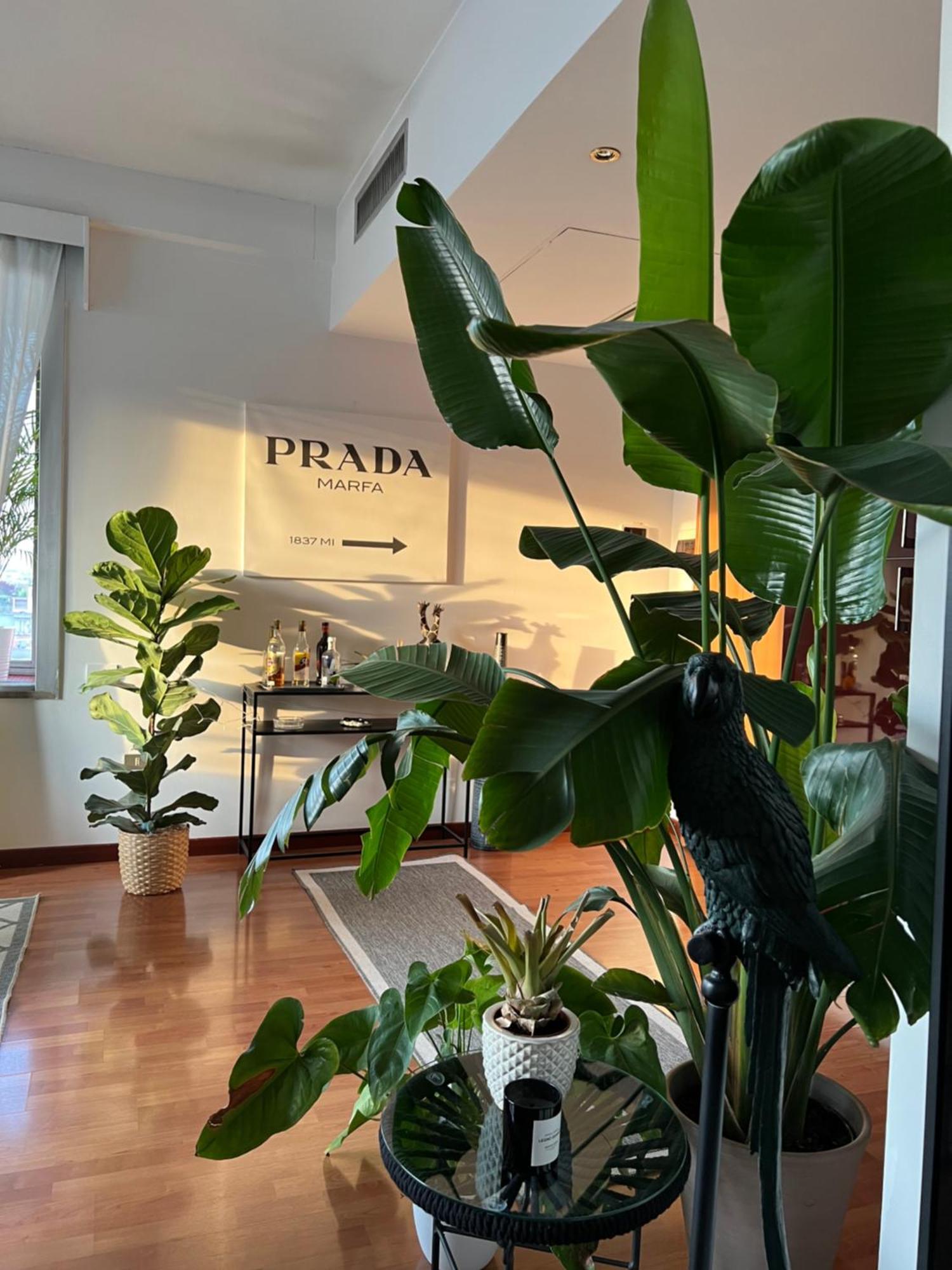 Ferienwohnung Urban Jungle - Attico Vista Duomo Mailand Exterior foto